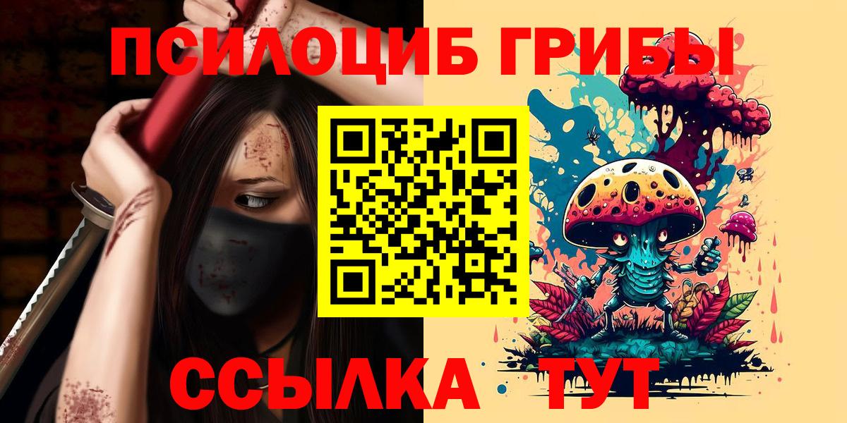 Михайловка  Галлюциногенные грибы Cubensis  Вход с VPN 